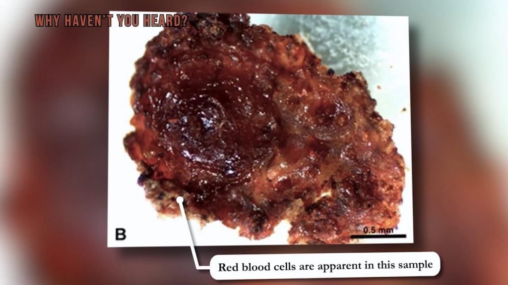 dinosaur soft tissue